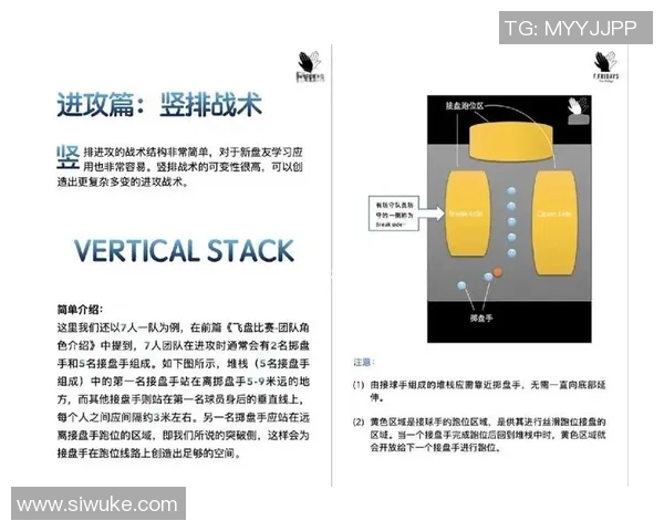 武汉飞盘队进攻体系解析与战术创新探索
